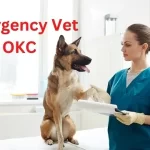 Emergency Vet OKC-Saving Furry Lives Round The Clock