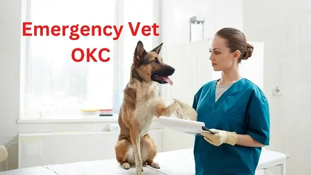 Emergency Vet OKC