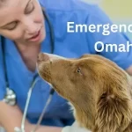 Emergency Vet Omaha