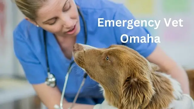 Emergency Vet Omaha