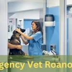 Emergency Vet Roanoke Va