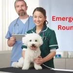 Emergency Vet Round Rock-Top 10 Options